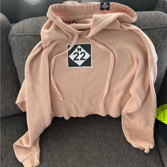 4/$25 M23 Cropped Hoodie sz L - Picture 1 of 5